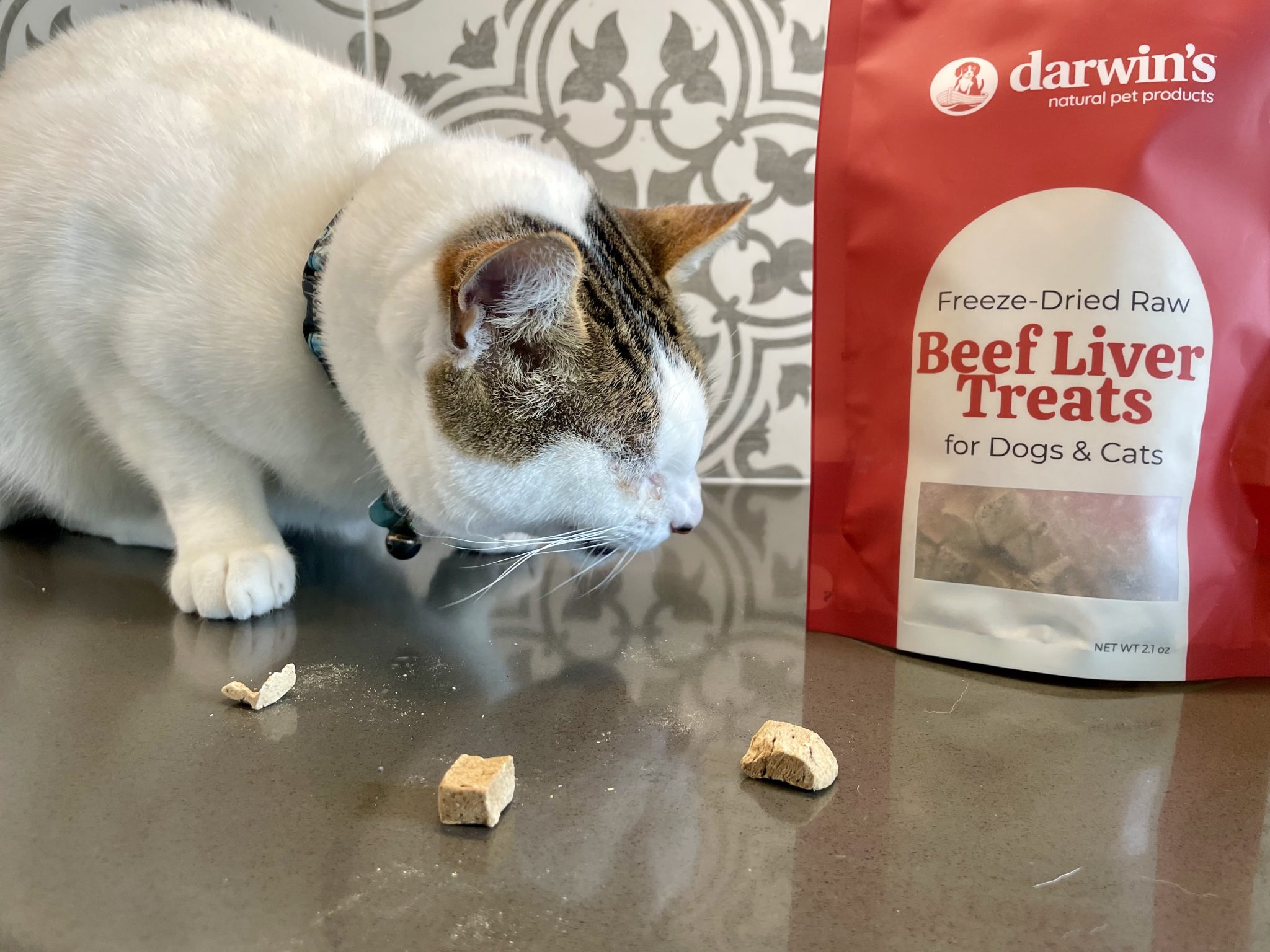 Darwin’s Pet Cat Food Review 2026_ Pros, Cons & Final Verdict 9
