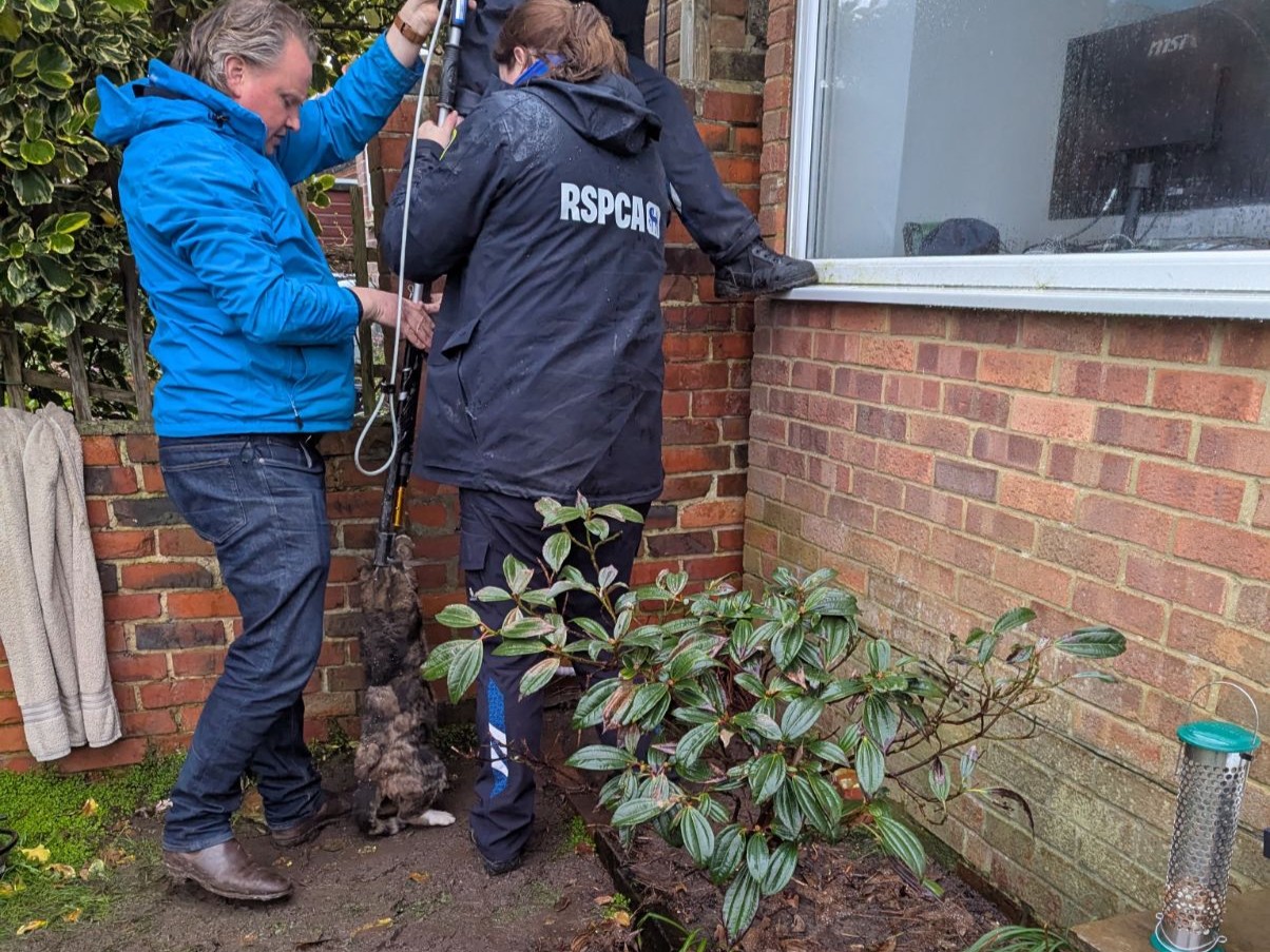 Dramatic Rescue Turns Into Dramatic Reunion 1000000353