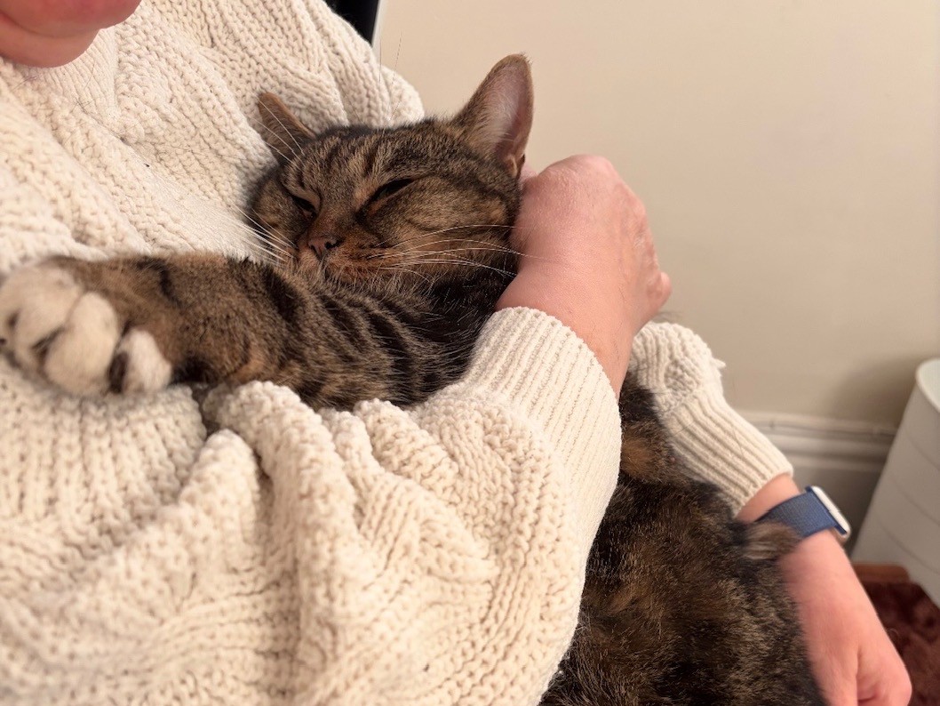 Dramatic Rescue Turns Into Dramatic Reunion image3