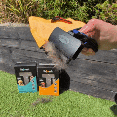 The Refuresh Deshedding Tool - It’s No Ordinary Brush 3