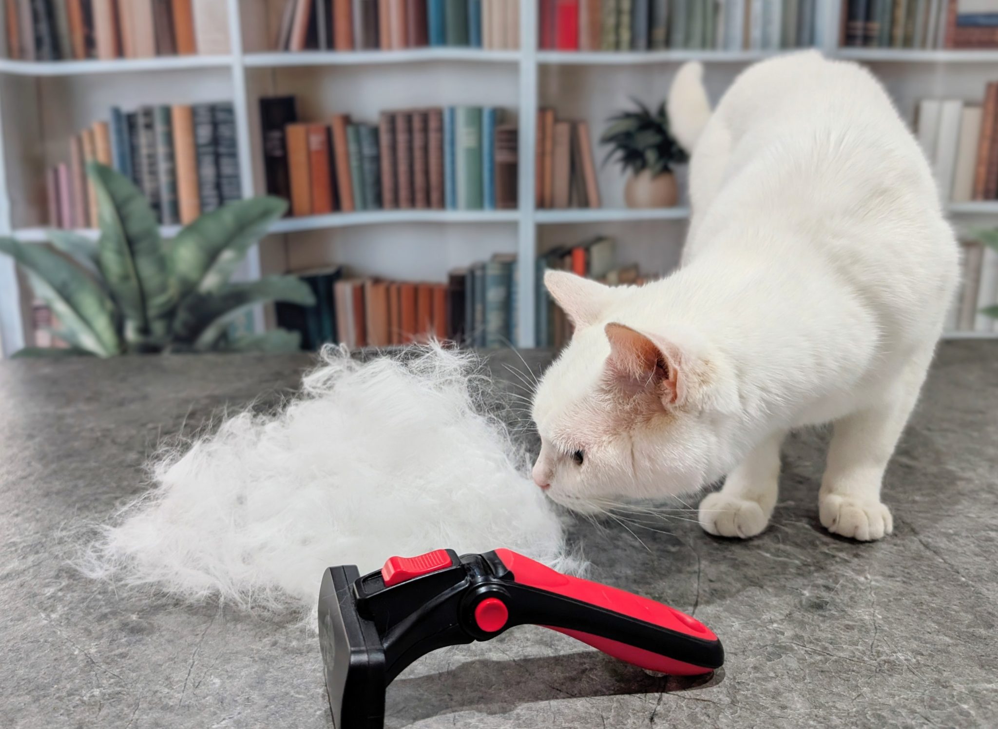 The Refuresh Deshedding Tool - It’s No Ordinary Brush 7