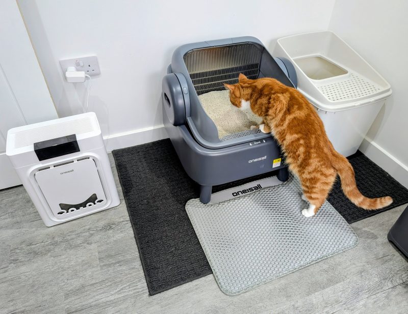 PetWireDaily — Level Up with the Self-Cleaning Litter Box From Oneisall – Our Expert’s 2026 Review