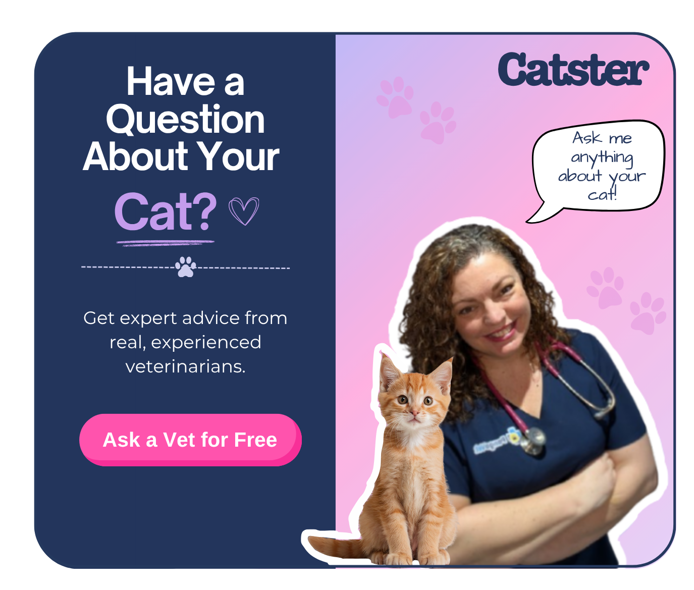 askavet on catster