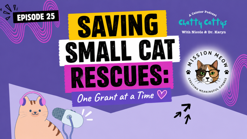 Chatty Cattys Episode 25 with Sally of Mission Meow