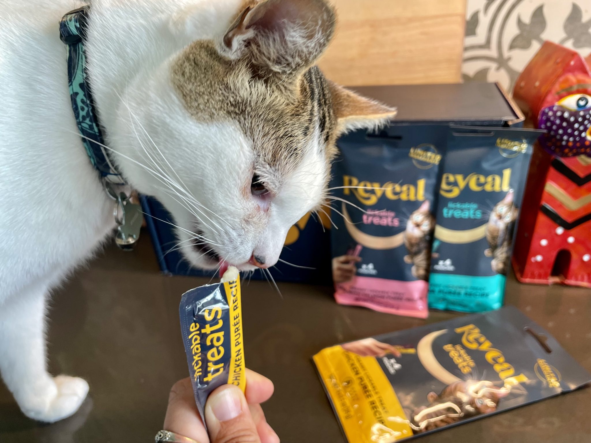 Reveal Wet Cat Food & Treats Review_ Our Expert’s Opinion19