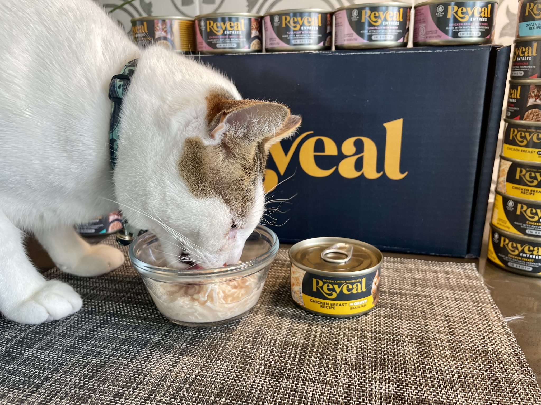 Reveal Wet Cat Food & Treats Review_ Our Expert’s Opinion18