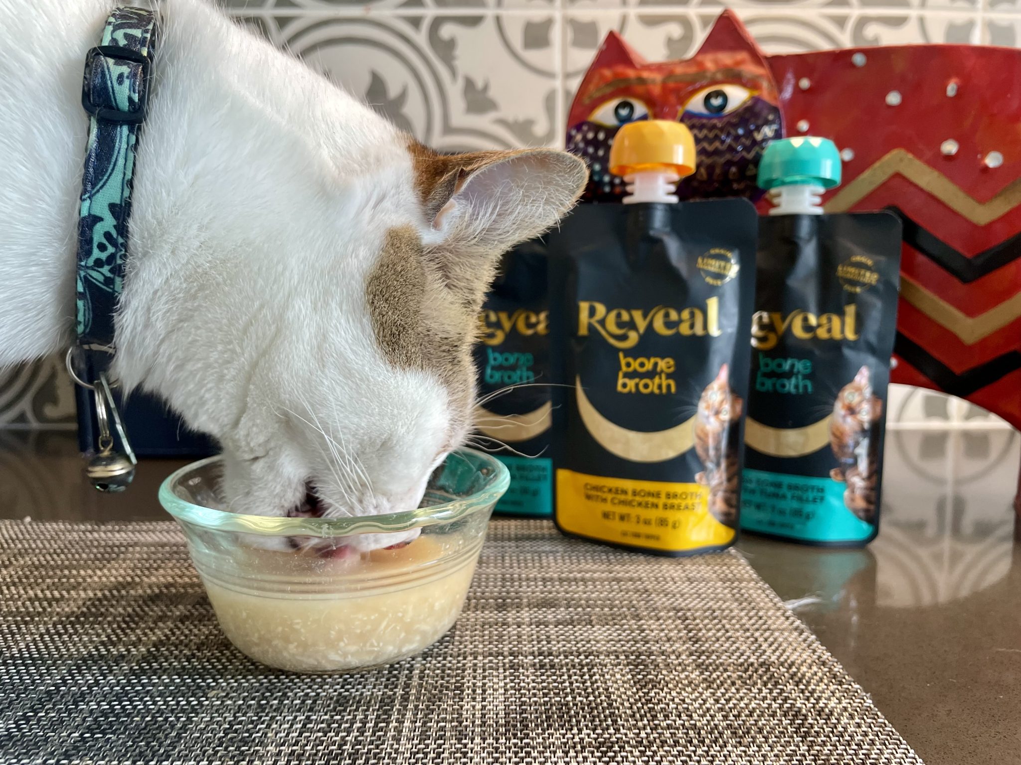 Reveal Wet Cat Food & Treats Review_ Our Expert’s Opinion19