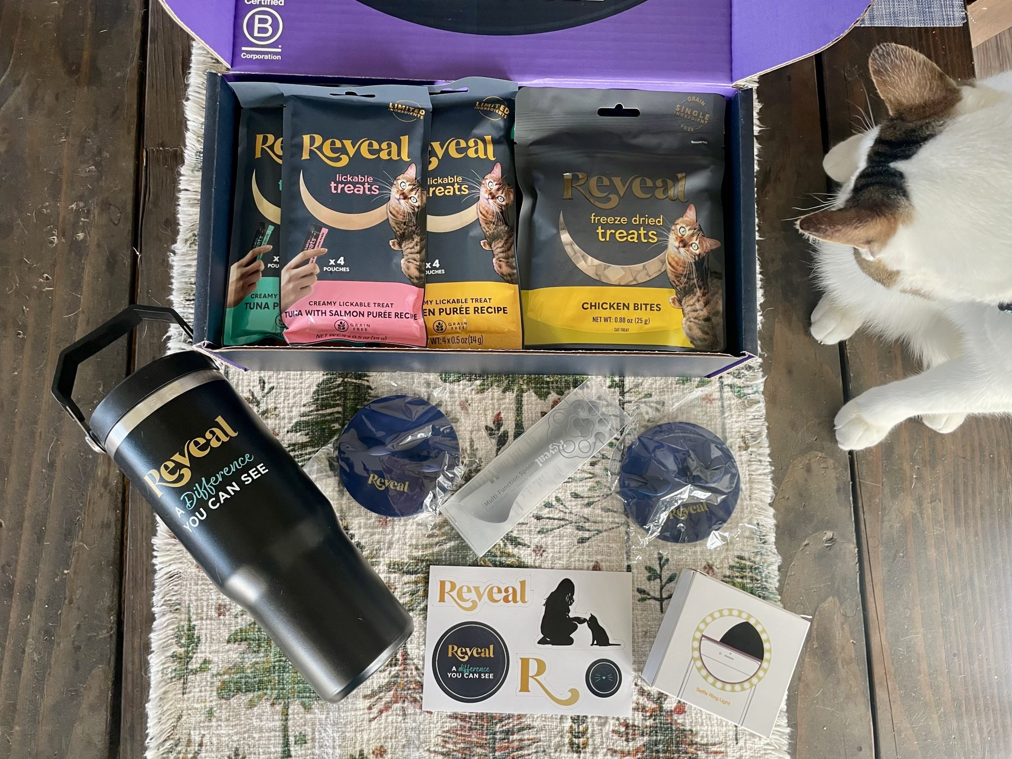 Reveal Wet Cat Food & Treats Review_ Our Expert’s Opinion3