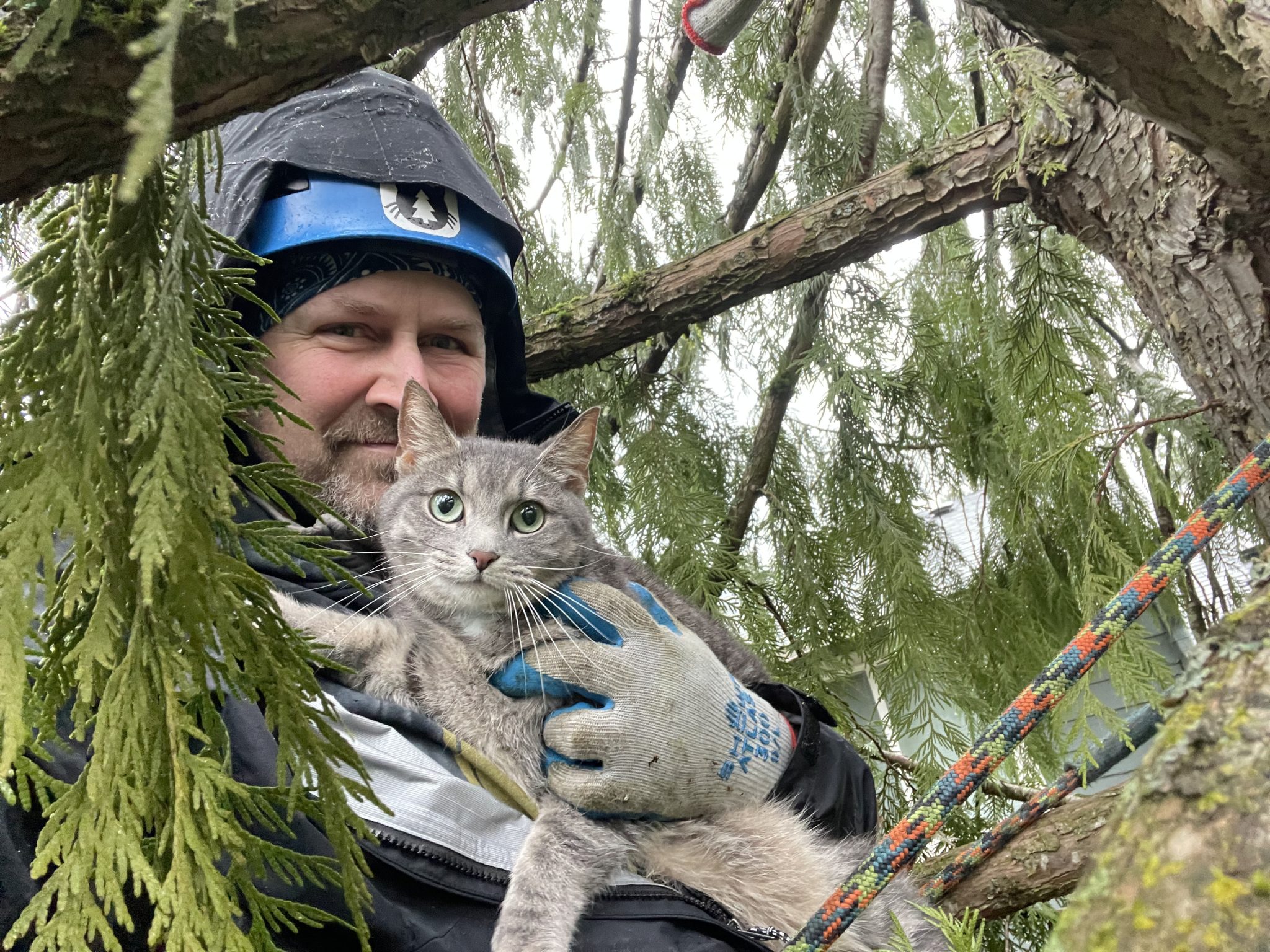 Canopy Cat Rescue: The Team Rescuing Cats From the Treetops | Heroes of the Pet World 7