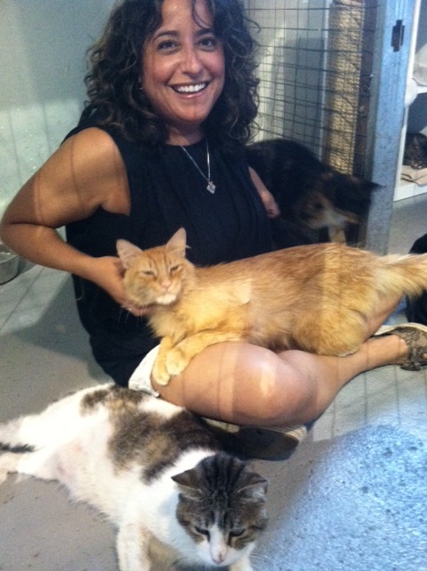 The Cat Who Changed Everything_ Gwen Cooper on Homer, Hope, and Her Newest Chapter felv orange kitty in my lap