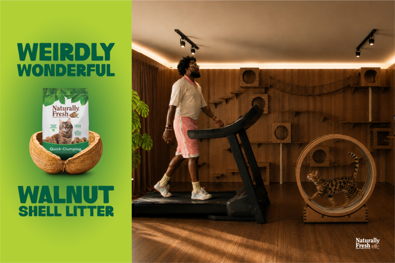 The Weirdly Wonderful Cat Litter Every Cat Parent Should Know About NF_PetSmart_Newsletter_quickClumping-colorblock-treadmill