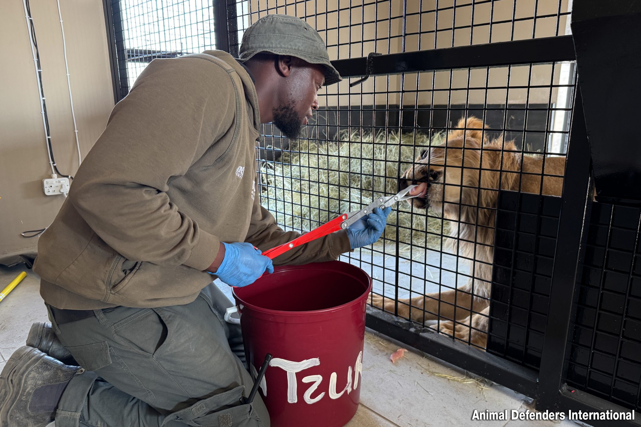 35 Feeding BenTzur_9843