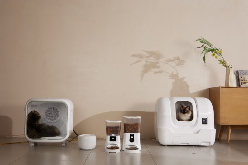 How Smart Litter Solutions Can Create a Healthier Life for Cats - Featured