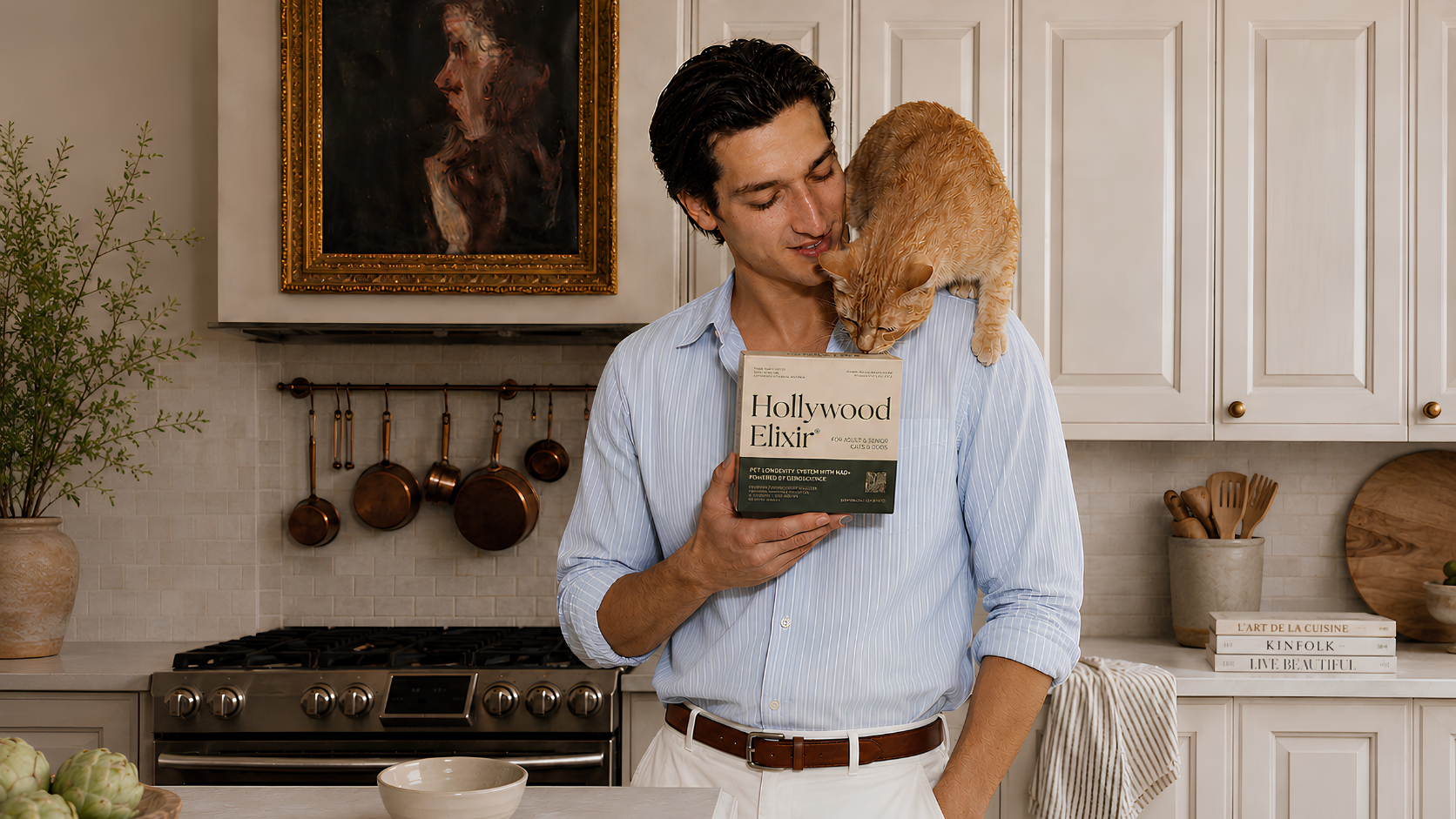 Invisible Aging In Cats 3