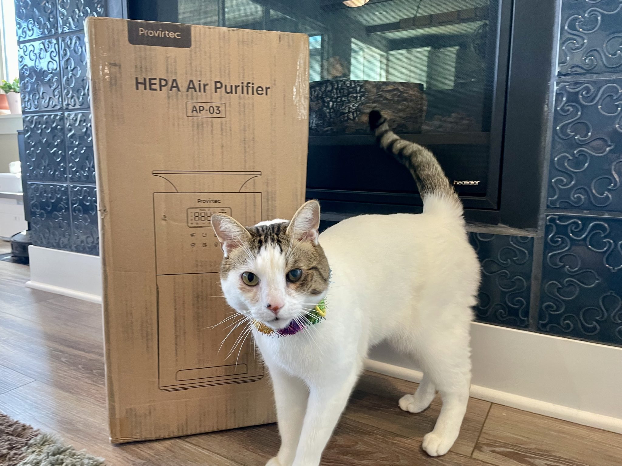 Provirtec Pawtent Air Purifier Review 2